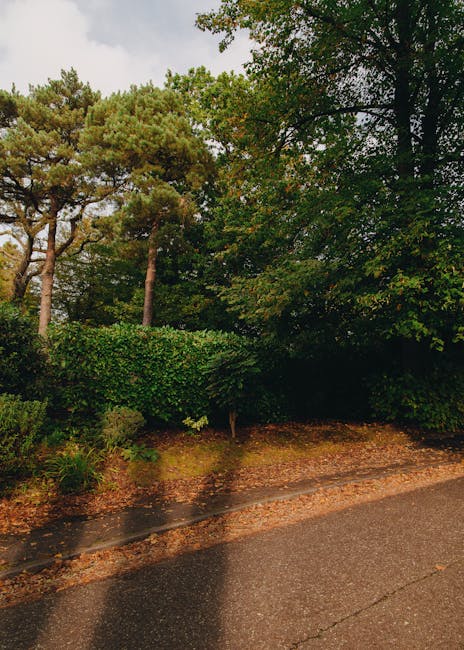 The image shows a section of a residential street with a row of lush green trees and dense shrubbery along the pavement. In the foreground, part of a wet asphalt road is visible, indicating recent rain. Behind the shrubbery, the front of a house or building is partially obscured by the foliage. The environment appears calm and semi-urban, with natural greenery lining the street. This setting is related to house removals and moving services, where careful handling and transportation of items might take place along such roads. [COMPANY_NAME], operating under [PAGE_TITLE], may utilize this type of environment for residential relocation logistics and furniture transport, ensuring smooth access for moving vehicles and personnel during home relocation processes.